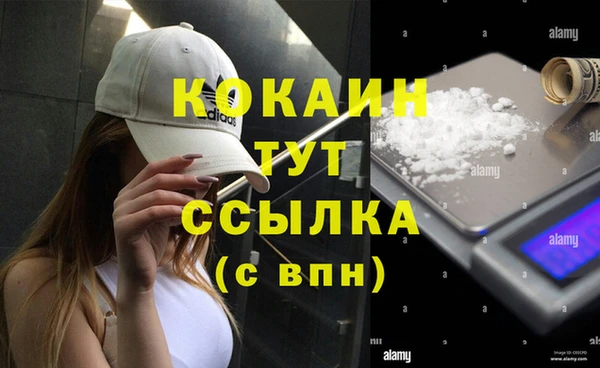 тгк Арсеньев