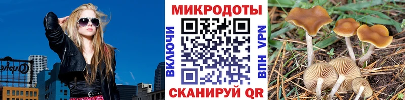 Псилоцибиновые грибы ЛСД  дарнет шоп  Новоржев 