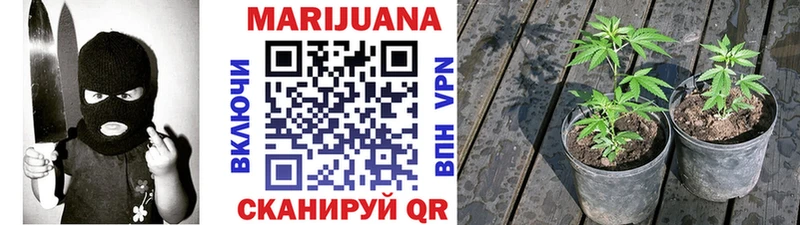 Конопля LSD WEED  Новоржев 